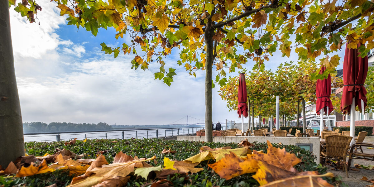 rheinpromenade 005
